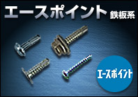 Acepoint Screws